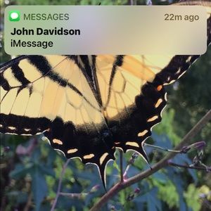 Meet your Posher, Stephen